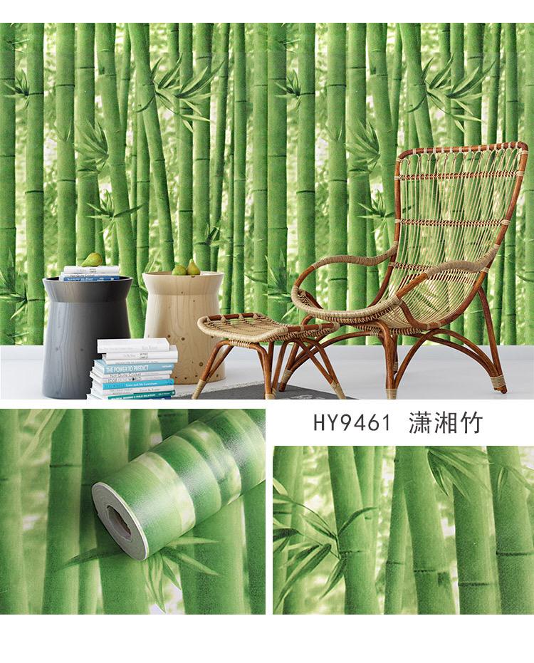 HY9461(10m/45cm)