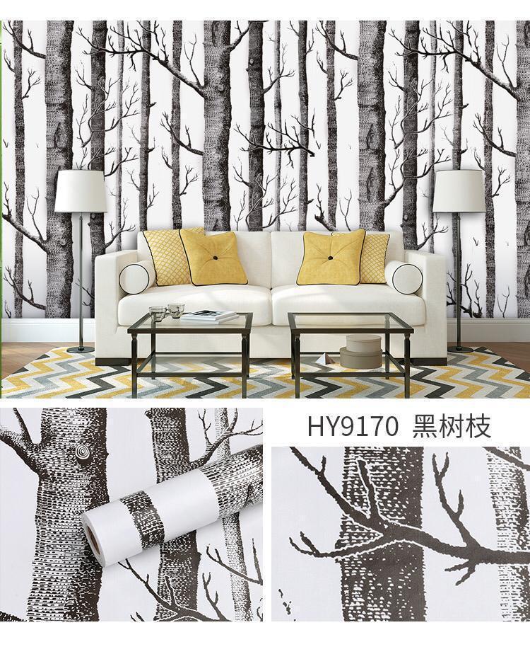 HY9170 (10m/45cm)